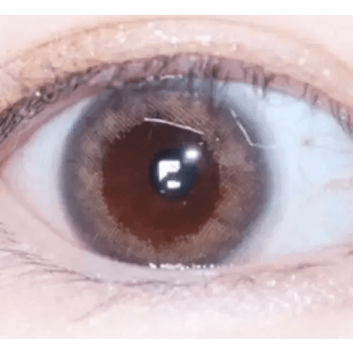LensRang iWWi Celinay Gray — single-eye close-up showing the contact lens appearance