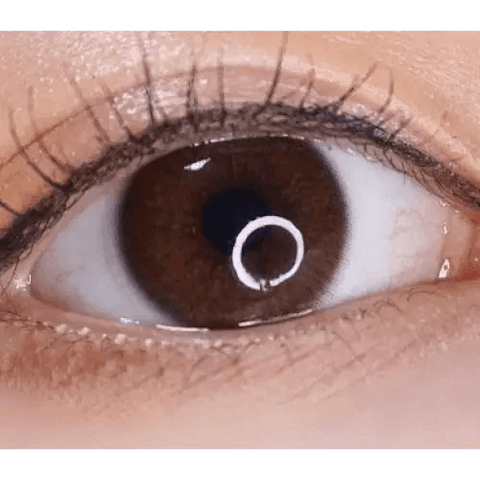 iWWi Hibiscus Brown 13.2mm iWWi Hibiscus Brown 13.2mm