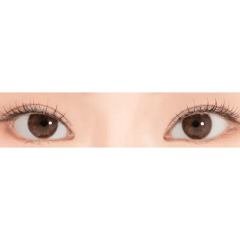 iWWi Hibiscus Brown 13.2mm iWWi Hibiscus Brown 13.2mm
