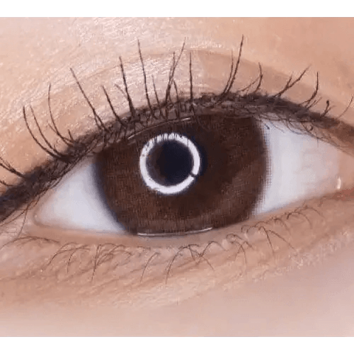 LensRang iWWi Hibiscus Brown — single-eye close-up showing the contact lens appearance