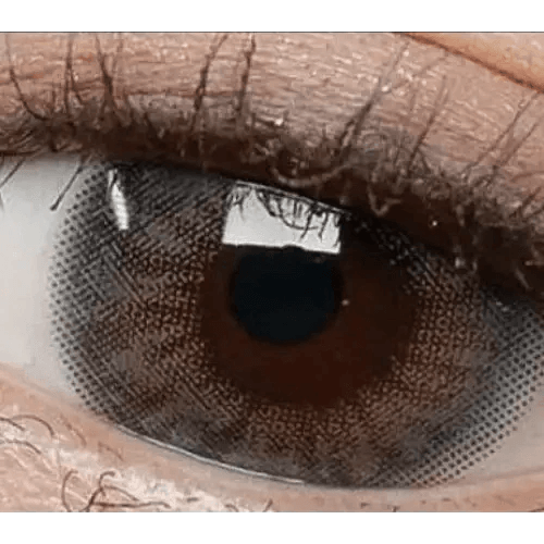 LensRang iWWi Iwwinka Gray — single-eye close-up showing the contact lens appearance