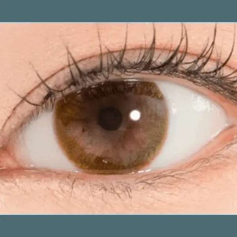 Iwwiny Brown 13.4mm Iwwiny Brown 13.4mm