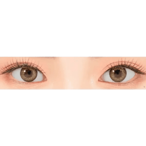 Iwwitch Brown 13.2mm Iwwitch Brown 13.2mm