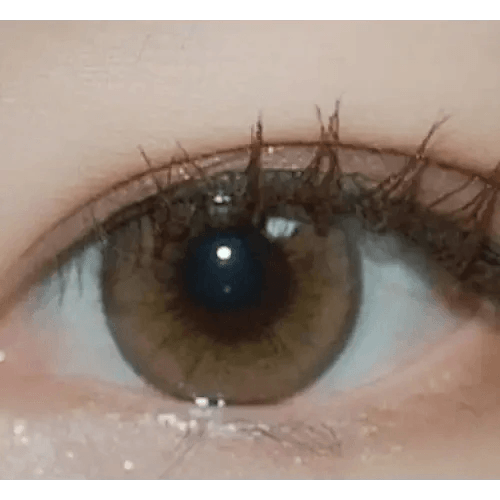 LensRang Iwwitch Up Brown — single-eye close-up showing the contact lens appearance