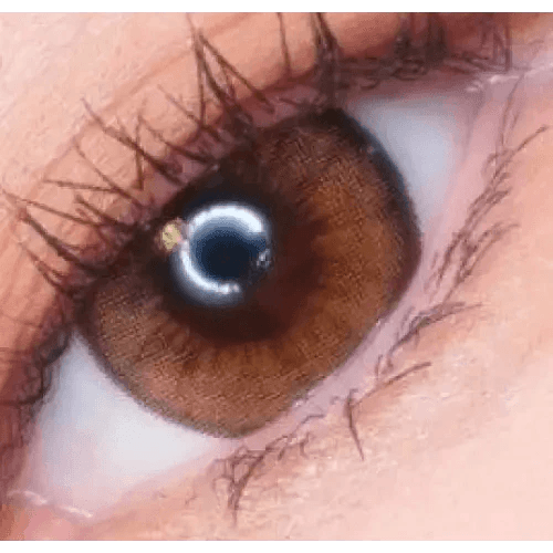 LensRang Iwwitch Up Brown — single-eye close-up showing the contact lens appearance