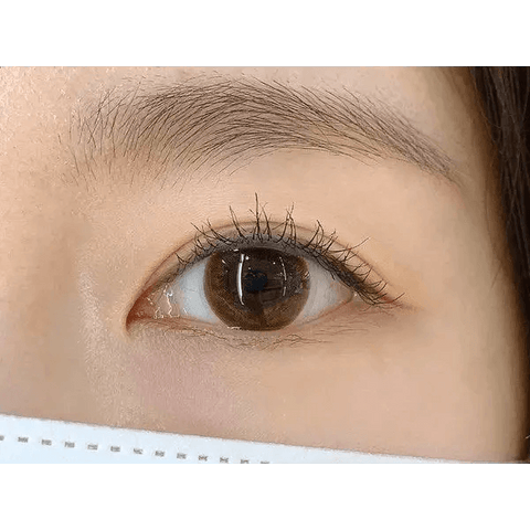 JeJe Brown Toric 13.0mm JeJe Brown Toric 13.0mm