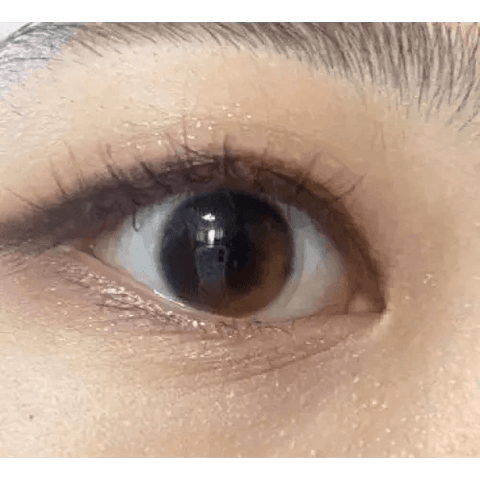 Joy Beige Brown 11.9mm Joy Beige Brown 11.9mm