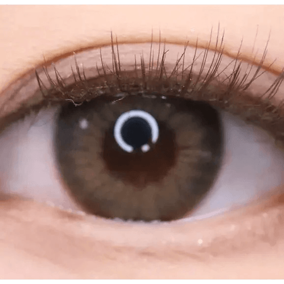 LensTown Kakao Friends Muzi Gray — single-eye close-up showing the contact lens appearance