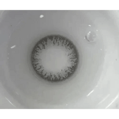 La Belle Gray 13.3mm