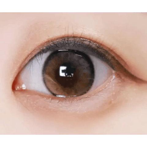 Laboum Brown Laboum Brown