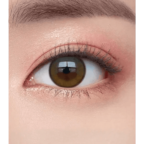 Laboum Brown Laboum Brown