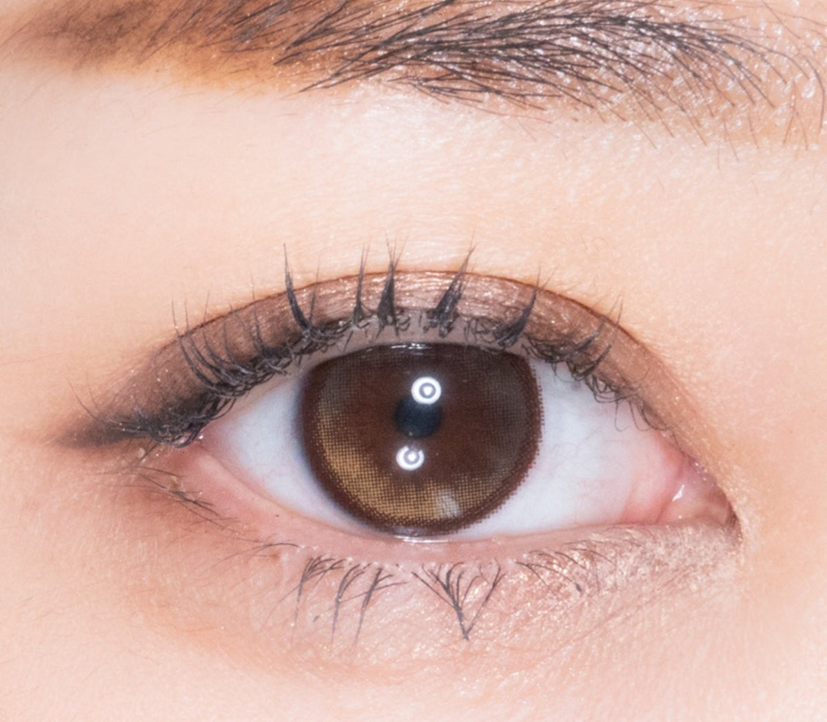 LensRang Planet Space Brown colored contact lens, 13.2mm graphic diameter, Monthly wear