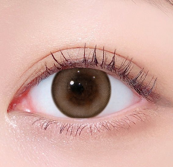 LensTown 247 Bom Brown colored contact lens, 13.4mm graphic diameter, Monthly wear