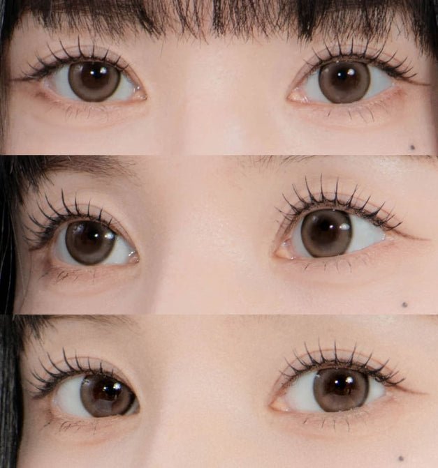 LensTown 247 Bom Brown colored contact lens, 13.4mm graphic diameter, Monthly wear