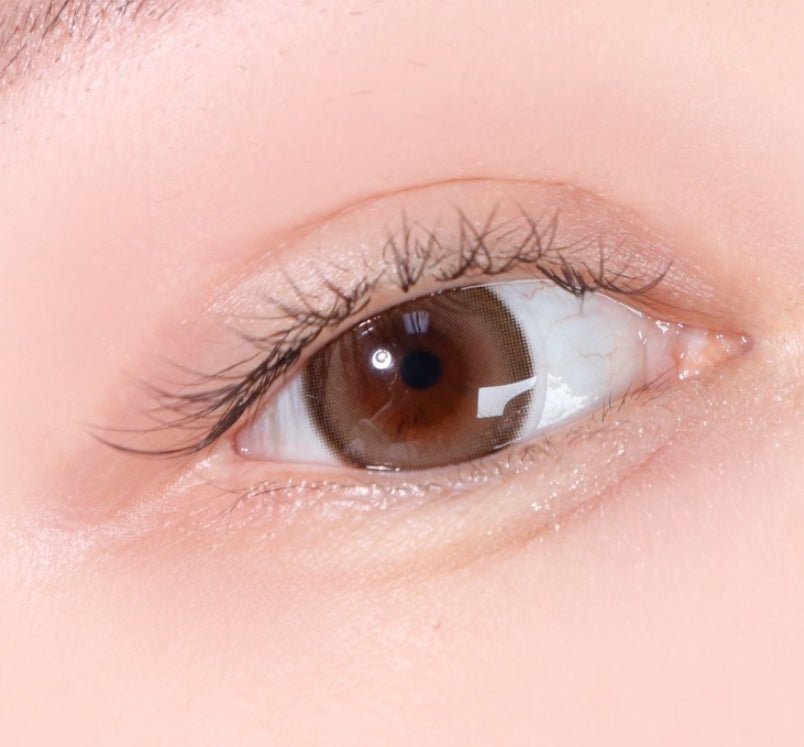 LensTown 247 Bom Brown colored contact lens, 13.4mm graphic diameter, Monthly wear