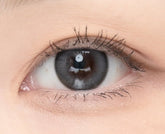 LensTown 247 Bom Gray