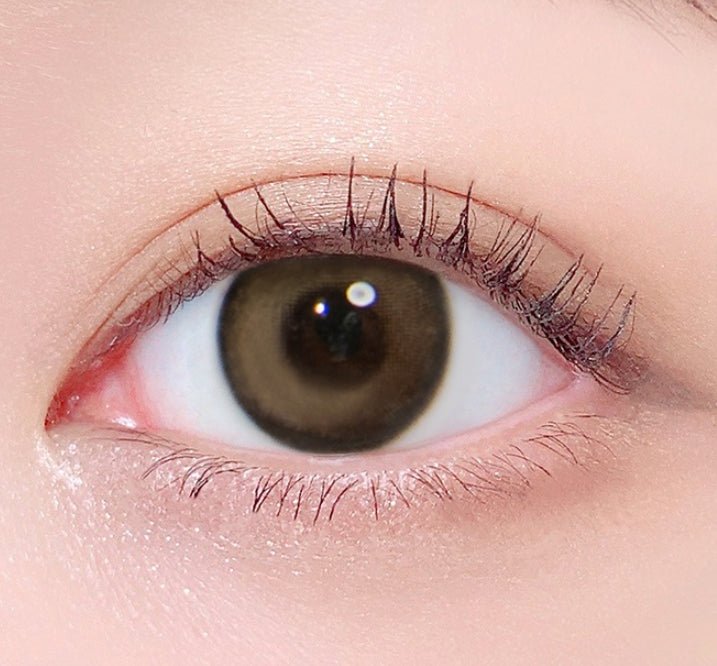 LensTown Palm 3color Choco colored contact lens, 12.9mm graphic diameter, 3-6 Months wear