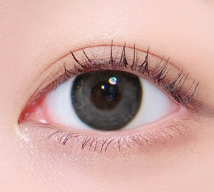 LensTown Palm 3color Gray colored contact lens, 12.9mm graphic diameter, 3-6 Months wear