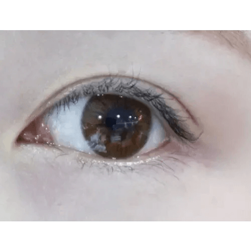 LensTown Sweet Pong Brown — single-eye close-up showing the contact lens appearance