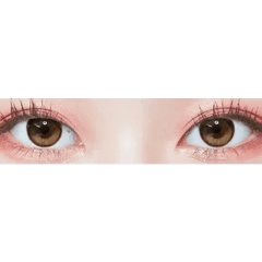 LensTown Tobetter Brown 1day