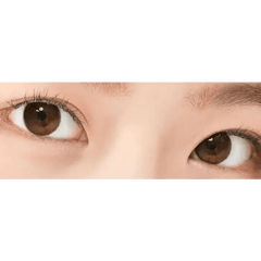 LensTown Tobetter Brown 1day