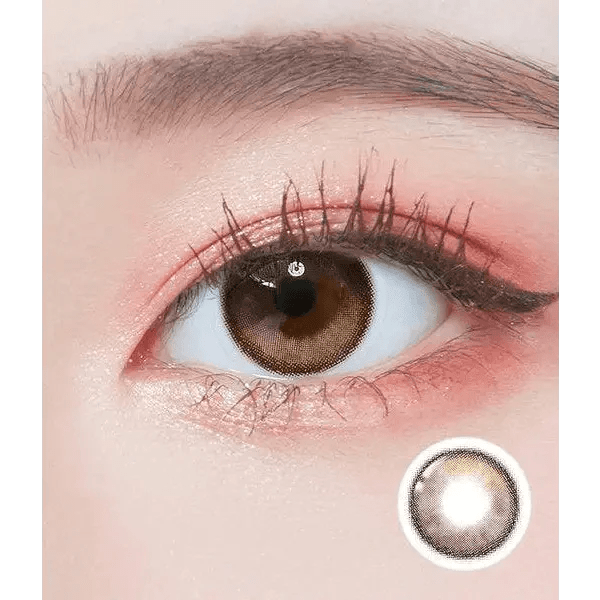 LensTown Tobetter Brown 1day (10p) colored contact lens, 13.1mm graphic diameter, Daily wear