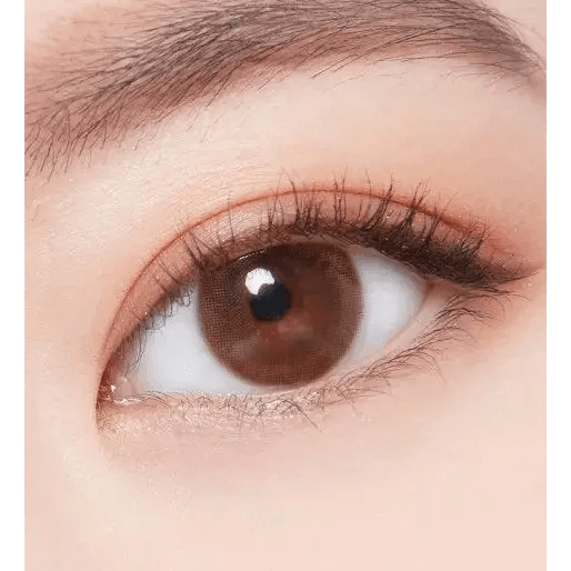 LensTown Unisome Brown colored contact lens, 13.1mm graphic diameter, Monthly wear