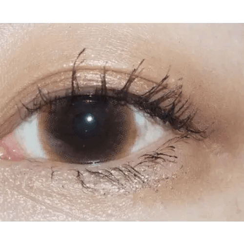 LensTown Unisome Brown colored contact lens, 13.1mm graphic diameter, Monthly wear