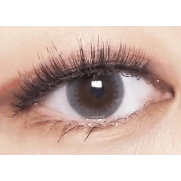 LensTown Unisome Gray — single-eye close-up showing the contact lens appearance