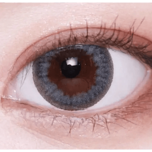 LensVery Sydney Gray (10p) — single-eye close-up showing the contact lens appearance