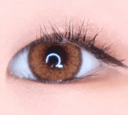 LensVery Venti Ann Brown — single-eye close-up showing the contact lens appearance