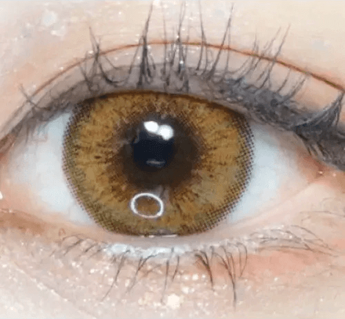 LensVery Venti Ann Brown — single-eye close-up showing the contact lens appearance