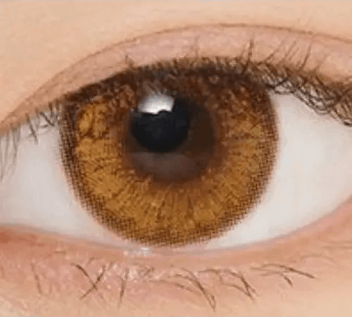 LensVery Venti Ann Brown — single-eye close-up showing the contact lens appearance