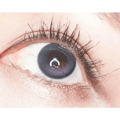 LensVery Wish Ring 1Day Violet (10p)