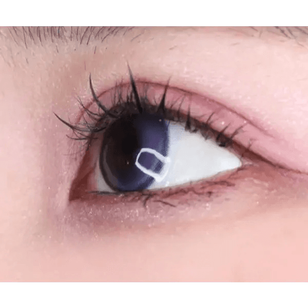 LensVery Wish Ring 1Day Violet (10p) colored contact lens, 13.1mm graphic diameter, Daily wear