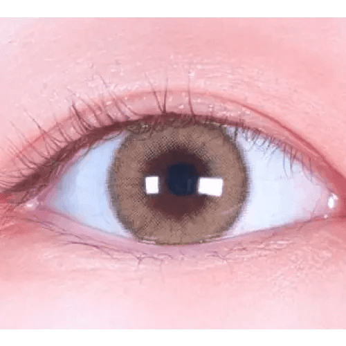 LensVery Wonder Eye Circle Brown — single-eye close-up showing the contact lens appearance
