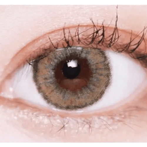 LensVery Wonder Eye Circle Brown — single-eye close-up showing the contact lens appearance