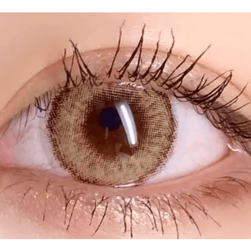 LensVery Wonder Eye Circle Hazel — single-eye close-up showing the contact lens appearance