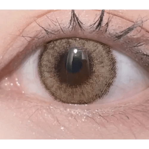 LensVery Wonder Eye Circle Hazel — single-eye close-up showing the contact lens appearance