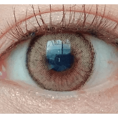 LensVery Wonder Eye Circle Hazel — single-eye close-up showing the contact lens appearance