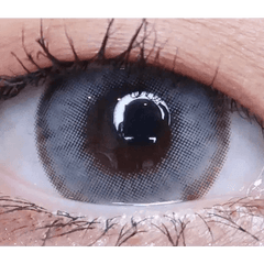 LensVery Wonder Eye Gray (10p)