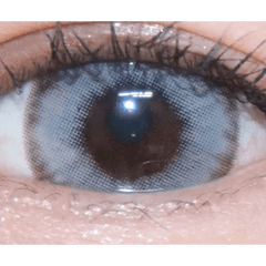 LensVery Wonder Eye Gray (10p)