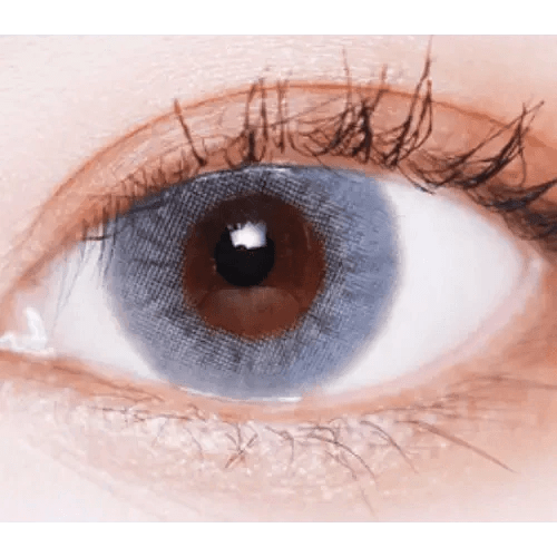 LensVery Wonder Eye Light Gray — single-eye close-up showing the contact lens appearance