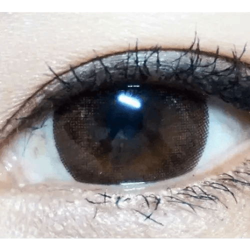 LensTown Lighly Classic Brown (20p) — single-eye close-up showing the contact lens appearance