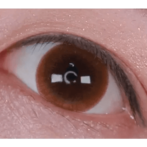 LensTown Lighly Classic Light Brown (20p) — single-eye close-up showing the contact lens appearance
