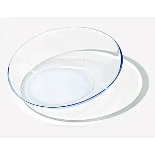 LensTown Lighly Clear 1day (10p) — close-up of the contact lens design