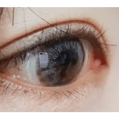 LensTown Lighly Lily Marry Gray (20p) — single-eye close-up showing the contact lens appearance