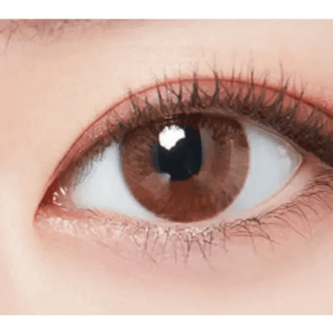 Lighly Modern Brown 13mm (20p) Lighly Modern Brown 13mm (20p)