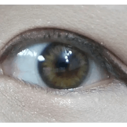 Lighly Pastel Brown 13.4mm (2p) Lighly Pastel Brown 13.4mm (2p)