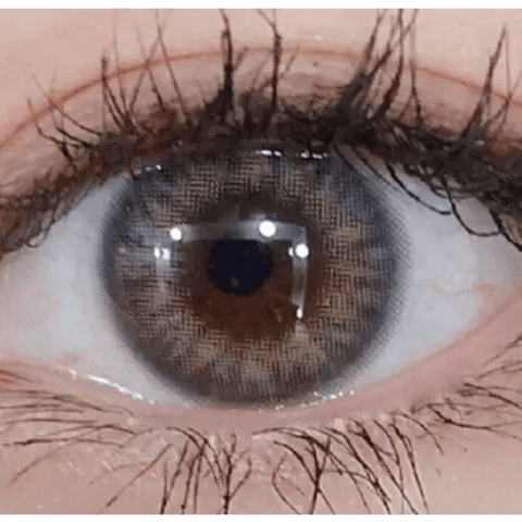 Lighly Pastel Gray 13.3mm (20p) Lighly Pastel Gray 13.3mm (20p)